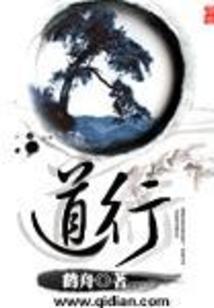开车道行路线